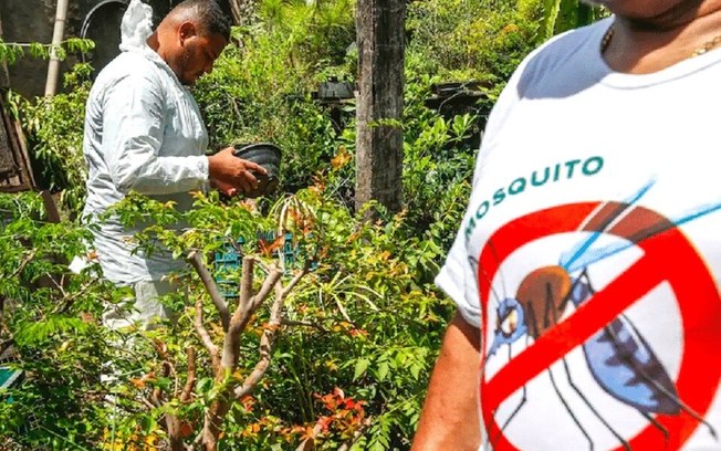 Brasil ultrapassa marca de 5 mil mortes por dengue