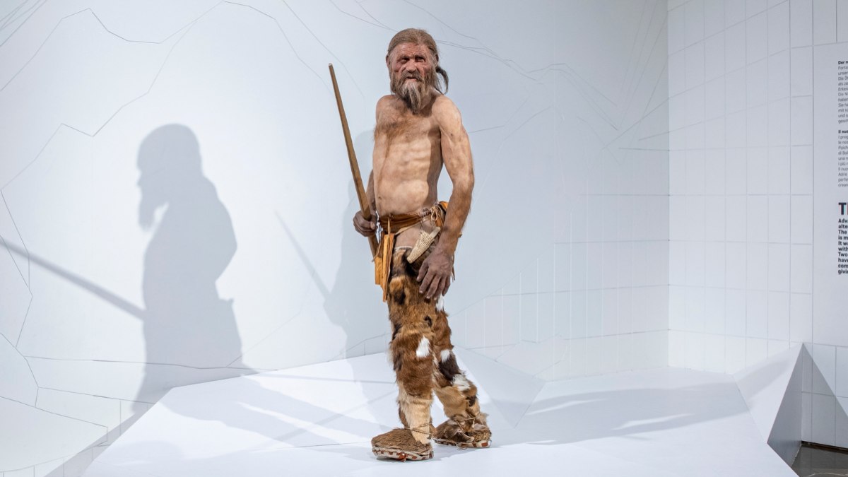 Reconstrução de Ötzi Reconstrução de Ötzi