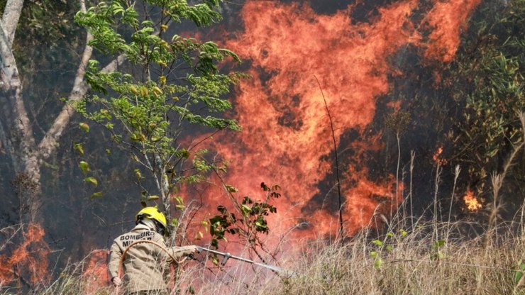 Super El Niño pode ter efeitos catastróficos; veja o que esperar