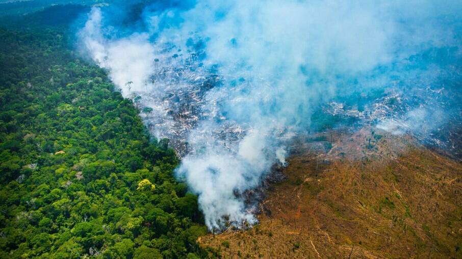 Desmatamento na Amazônia cresceu durante o governo Bolsonaro