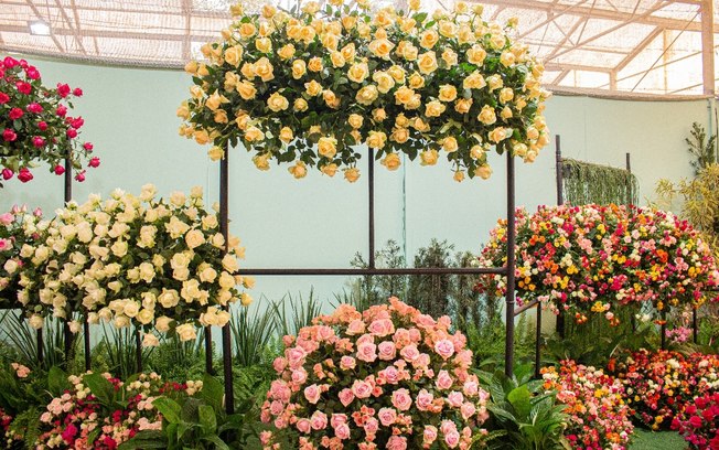 Festa de Flores e Morangos terá entrada solidária