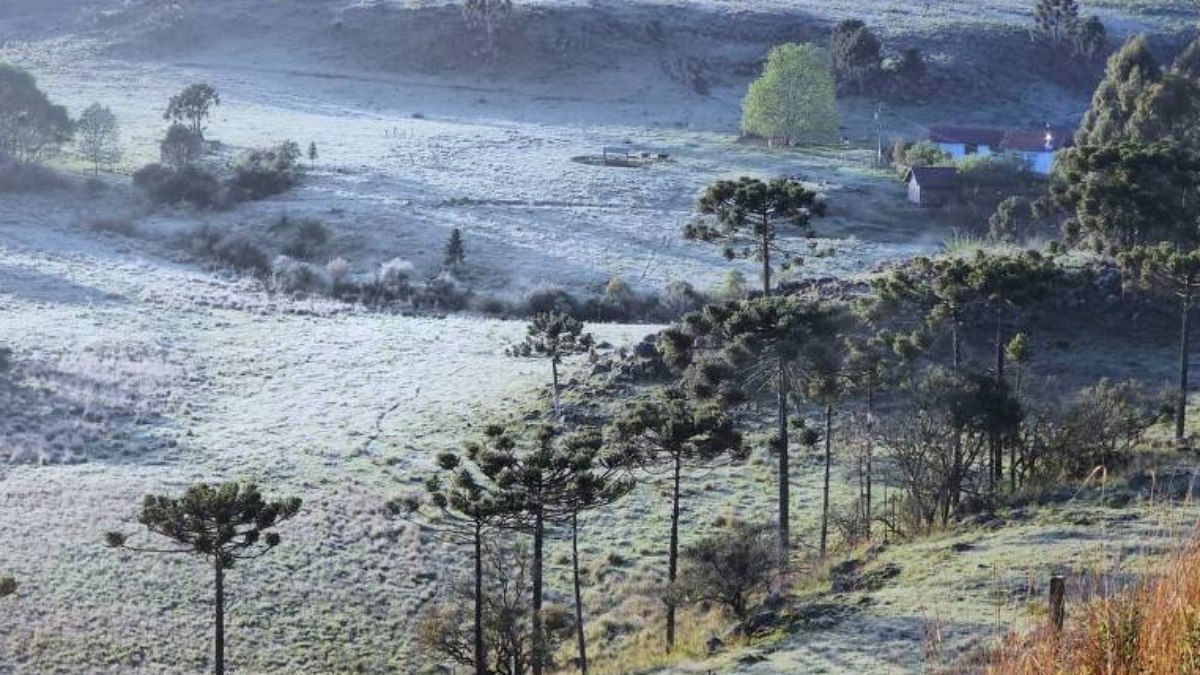 Vale do Caminhos da Neve, em São Joaquim (SC), amanheceu coberto de gelo nesta quarta (2)