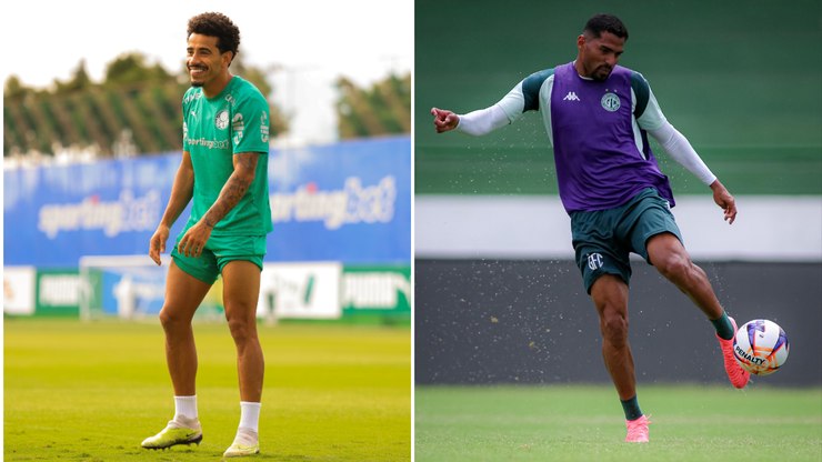 Palmeiras quer a liderança, Guarani briga por G-8: palpite e odds