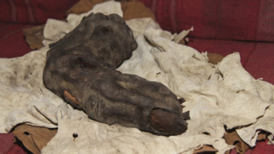 Dedo enorme mumificado de 38 centímetros pode provar existência de 'gigantes' no Antigo Egito
