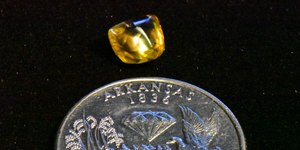 Avô acha diamante amarelo de 2,29 quilates em passeio com netas
