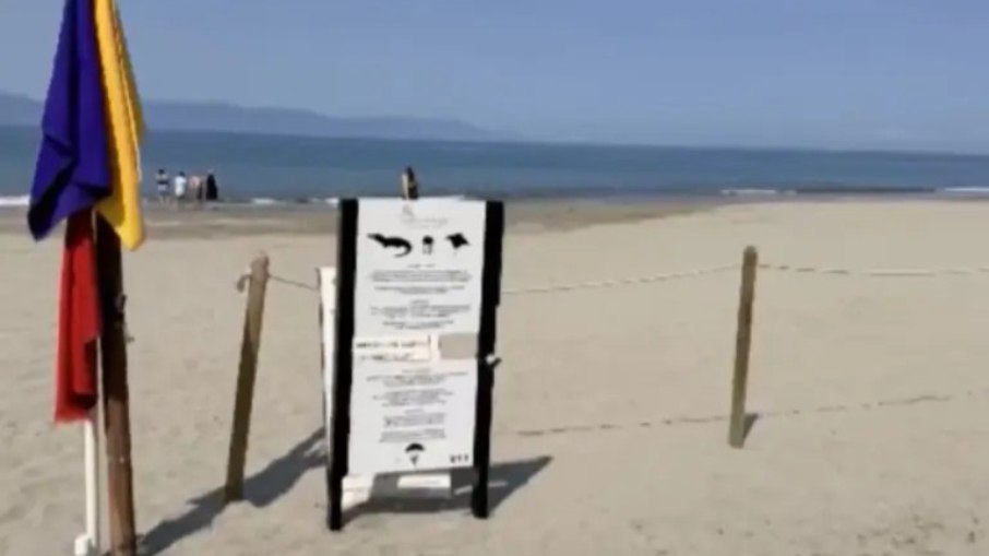 Homem morre após ataque de crocodilo em praia do México Homem morre após ataque de crocodilo em praia do México
