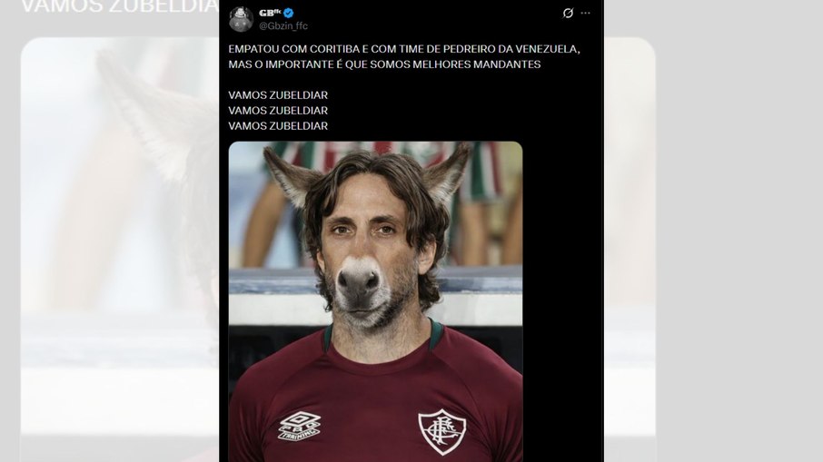 Torcedores do Fluminense detonam Zubeldía