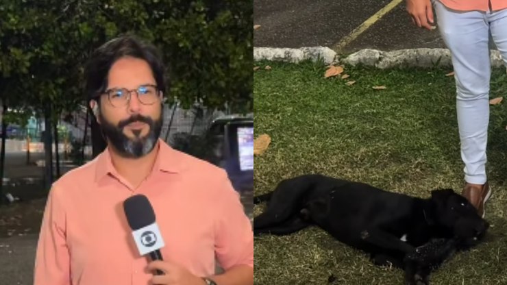 Repórter da Globo é "abraçado" por cachorro durante gravação