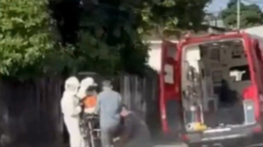 Homem morre após ataque de abelhas no litoral de SP