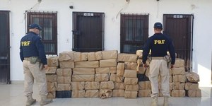 PRF apreende mais de 1,1 tonelada de maconha na Via Dutra