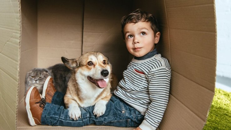 8 dicas para uma boa convivência entre cachorros e crianças