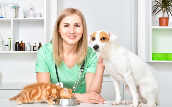 8 especialidades veterinárias e quando procurar cada uma delas