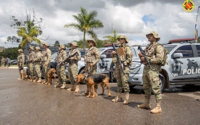 Cães treinados pela PMDF atuam na identificação de explosivos na Esplanada