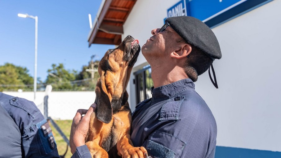 m o K9 Kronos, novo integrante do Canil da Guarda Municipal de Jundiaí m o K9 Kronos, novo integrante do Canil da Guarda Municipal de Jundiaí