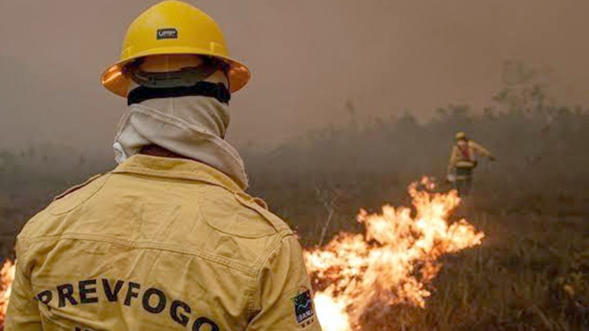 Focos de incêndio na Amazônia Focos de incêndio na Amazônia