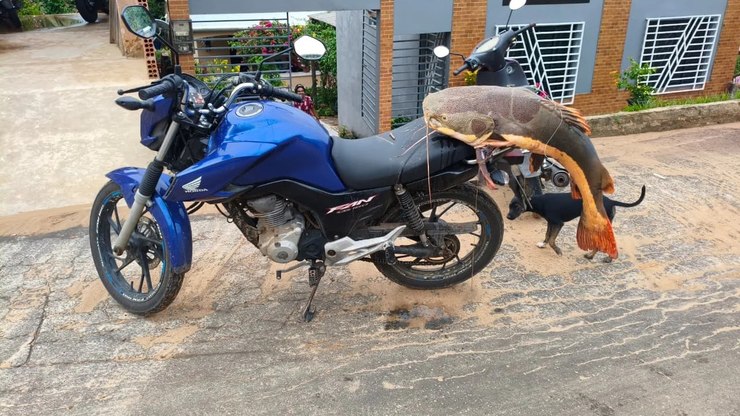 Entregador captura peixe de 26 quilos no Rio Juruá