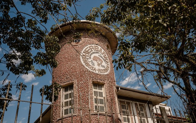 Pesquisa em herbário de SC descobre seis espécies de plantas
