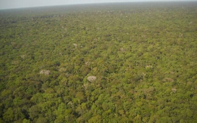 Empresários paulistanos criam projeto que transforma passos e desafios pessoais em benefícios para a Amazônia