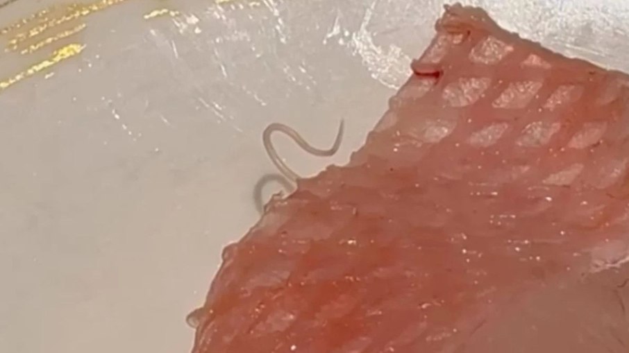Verme vivo aparece em sashimi e revolta cliente de restaurante