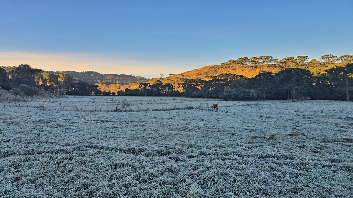 Frente fria avança, traz geada para o Sul e derruba temperaturas - Foto