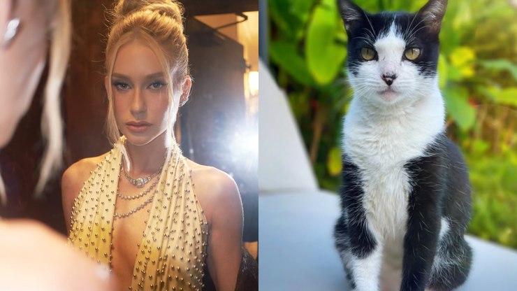 Marina Ruy Barbosa faz apelo para encontrar gato desaparecido