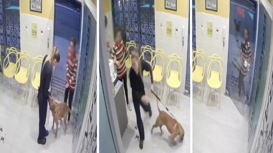 Mulher abandona cachorro em hospital veterinário após pedir atendimento de emergência para o animal