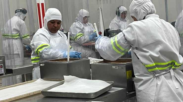 Força feminina transforma a indústria artesanal de chocolate