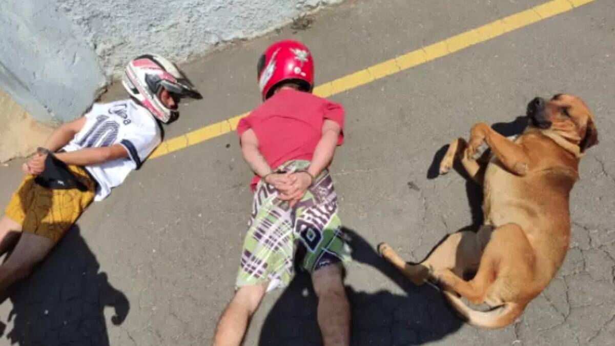 Cão deitou ao lado de suspeitos em abordagem policial