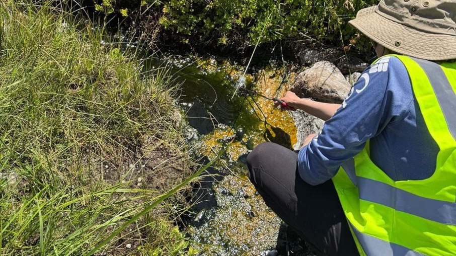 Beryl Rappaport, autora principal do estudo, coletando amostras de Incendiamoeba cascadensis no Parque Nacional Vulcânico Lassen, na Califórnia Beryl Rappaport, autora principal do estudo, coletando amostras de Incendiamoeba cascadensis no Parque Nacional Vulcânico Lassen, na Califórnia