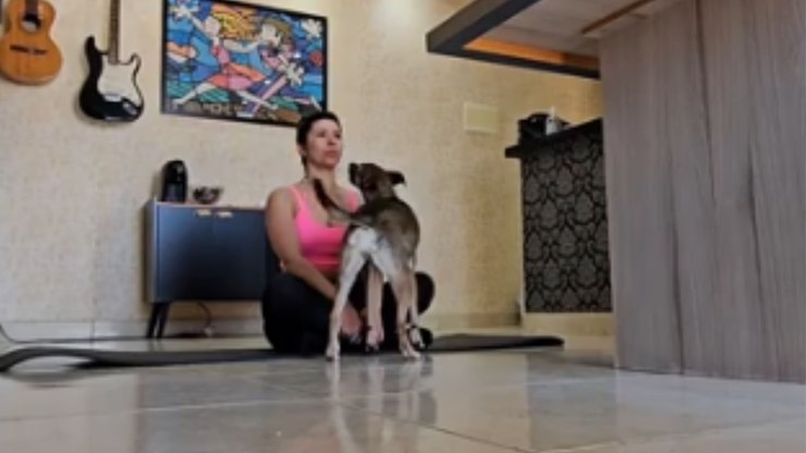 Cachorro%20interrompe%20yoga%20da%20tutora%20e%20transforma%20tudo%20em%20caos