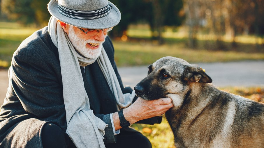 Ter uma vida mais ativa fisicamente contribui também para a saúde mental dos animais