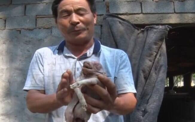 Gao Baiqi, dono da ninhada de porcos, ficou decepcionado quando o pequeno animal faleceu logo após seu nascimento