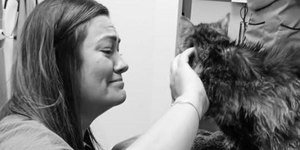 Gata some por 13 anos e reencontra dona antes de morrer