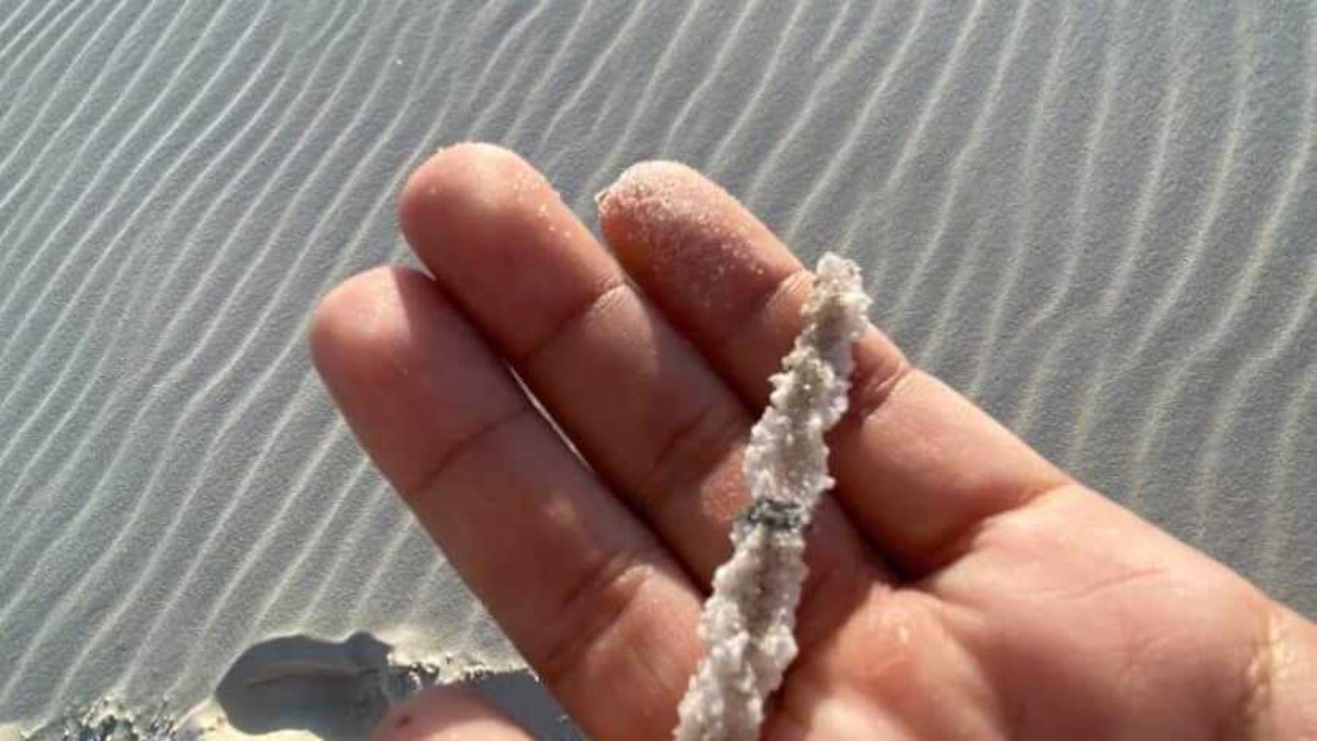 Fulgurito: fóssil de raio é encontrado aos montes no Maranhão - QTU Questões do Universo