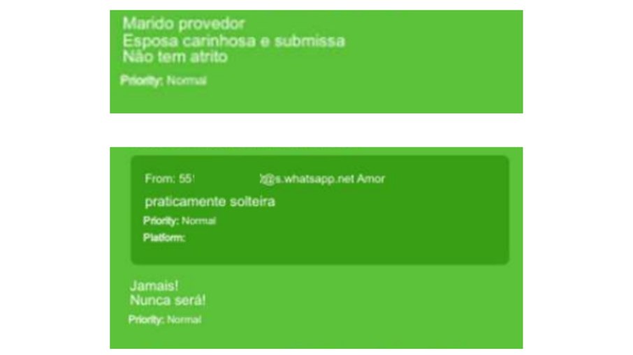 Os prints foram tirados após a polícia apreender o celular do tenente-coronel Geraldo Leite Rosa Neto