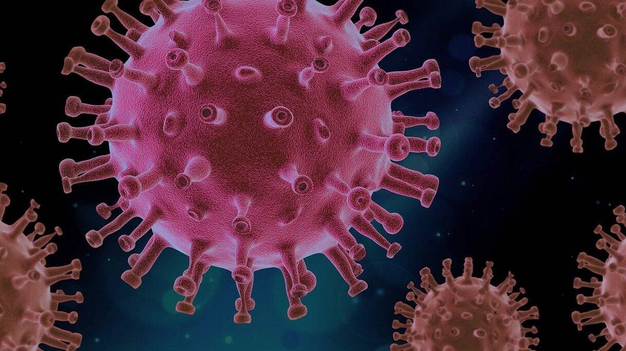 O estudo revelou uma diversidade viral muito maior do que a registrada nas bases de dados, incluindo dois possíveis novos filos e uma possível nova classe de vírus de RNA O estudo revelou uma diversidade viral muito maior do que a registrada nas bases de dados, incluindo dois possíveis novos filos e uma possível nova classe de vírus de RNA