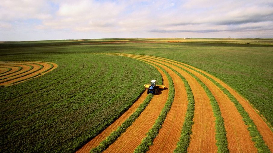Produção agrícola em 2021 bate novo recorde e atinge R$ 743,3 bilhões