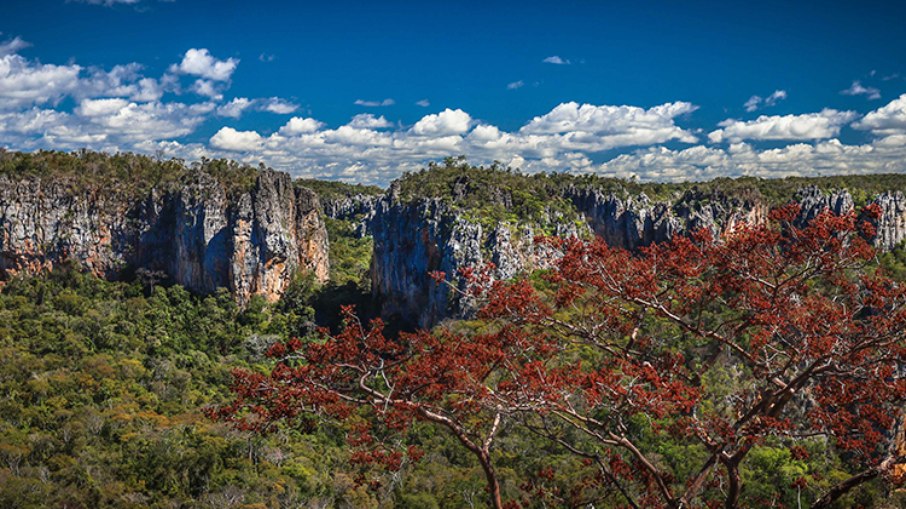 Parque Nacional Cavernas do Peruaçu 
