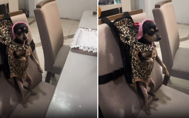 Ahtkt4va4dyfcee7ulmy2jnw6