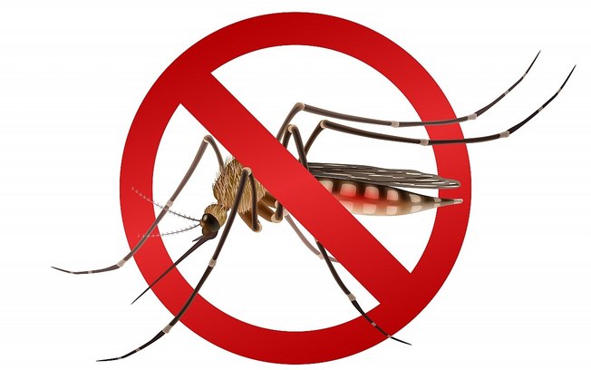 Ministério da Saúde reforça combate à dengue em São Paulo
