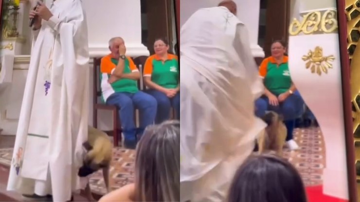 Cachorro caramelo interrompe missa ao puxar batina de padre