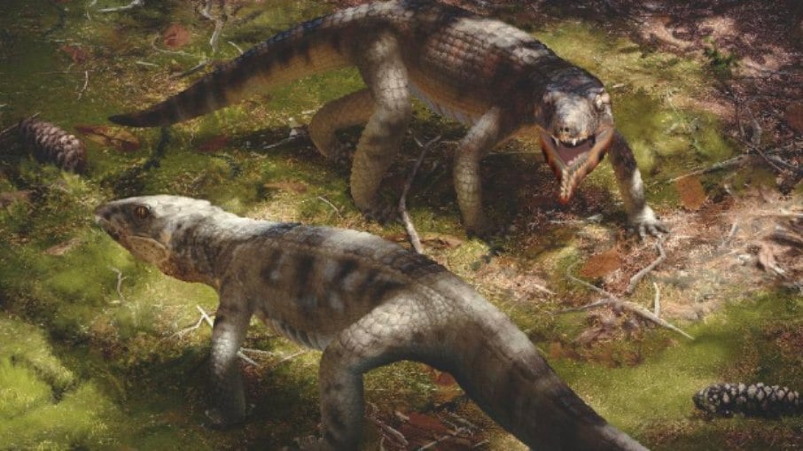 Descubrimiento de un cocodrilo que emitía sonidos y convivía con los dinosaurios;  mirar