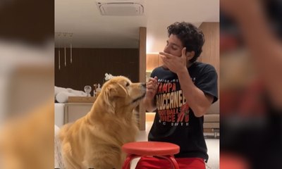 Pet supera tutor em jogo, mas se arrepende ao provar prêmio