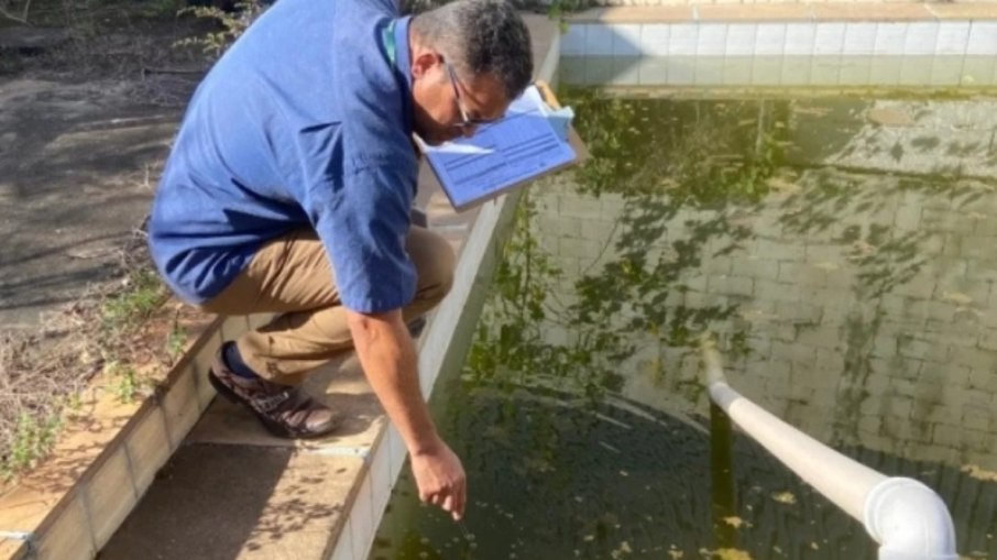 Vinhedo reforça ações de combate ao mosquito da dengue Vinhedo reforça ações de combate ao mosquito da dengue