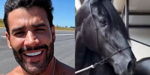 Gusttavo Lima exibe cavalo avaliado em R$ 2,5 milhões