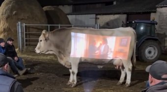 Vaca%20vira%20tela%20de%20cinema%20em%20v%C3%ADdeo%20que%20viraliza