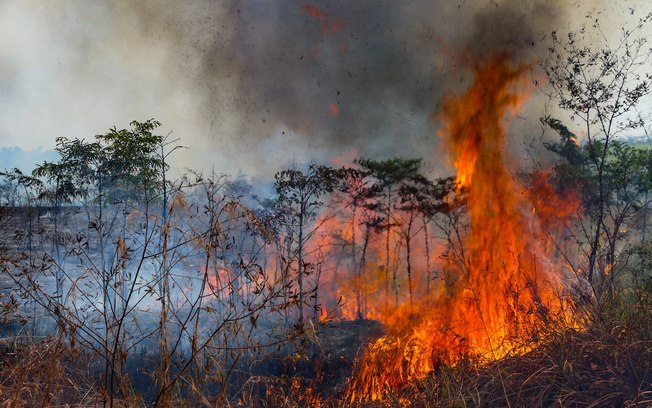 Fumaça tóxica de queimadas na Amazônia afeta qualidade do ar em 10 estados