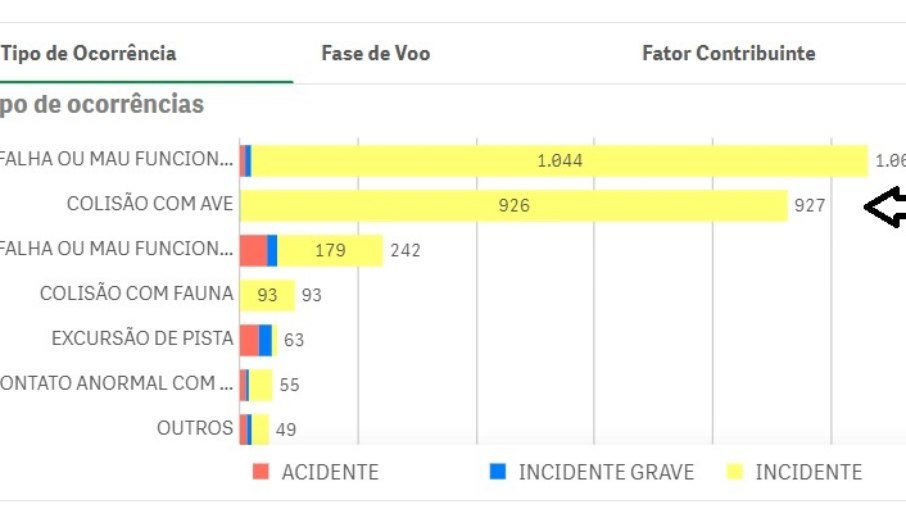 Em 2023 foram 927 ocorrências