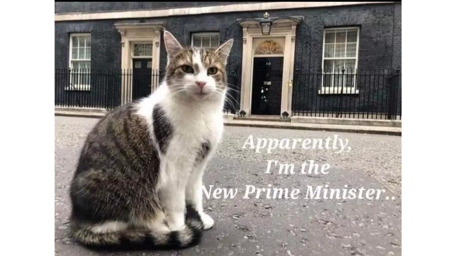 'Aparentemente, eu sou o novo primeiro-ministro': meme na internet faz sátira sobre Larry ser o novo premier britânico