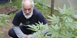 Ricardo Petraglia mostra plantação de maconha em casa e defende uso